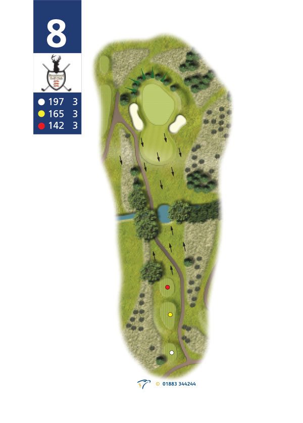 Hole planner, hole 8